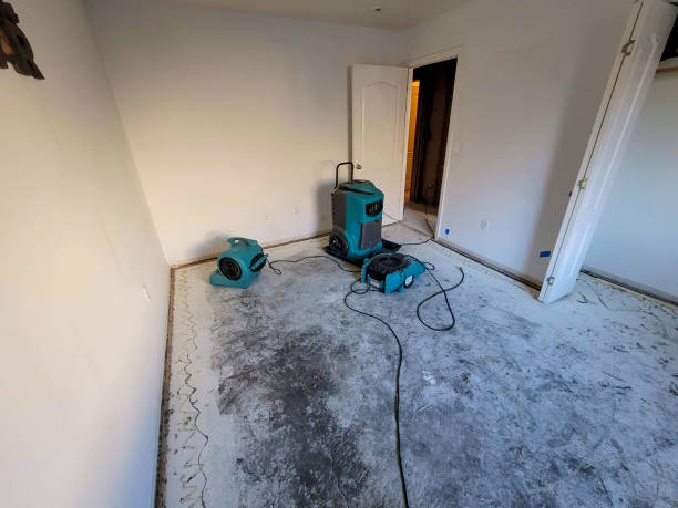  Upper Ack, NY Water damage restoration Pros